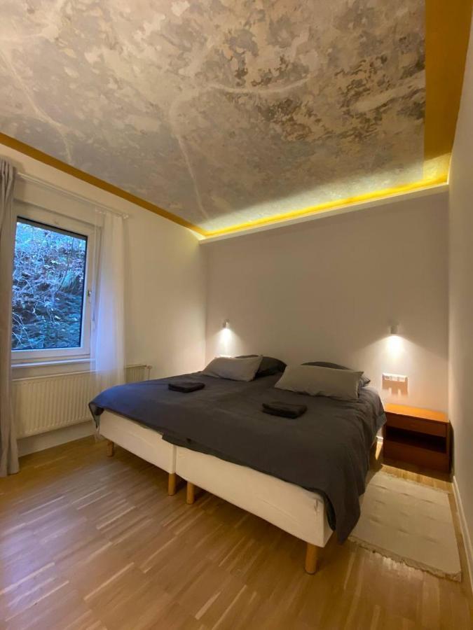 Ferienhaus Art Apartment - Harz Zorge Exterior photo